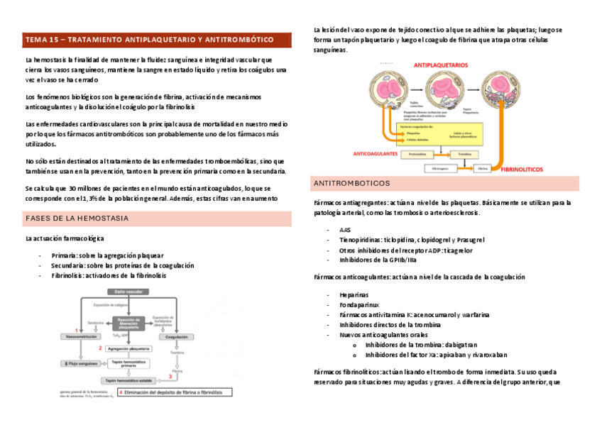 Miniatura del documento TEMA-15.-TTO.pdf