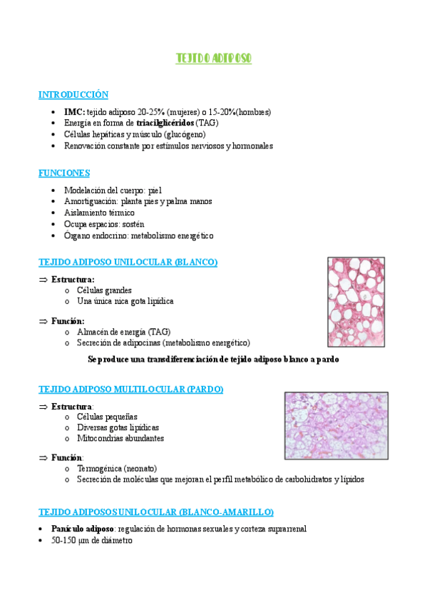 Miniatura del documento TEJIDO-ADIPOSO.pdf