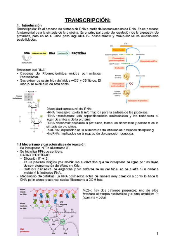 Miniatura del documento Tema-18-transcripcion.pdf