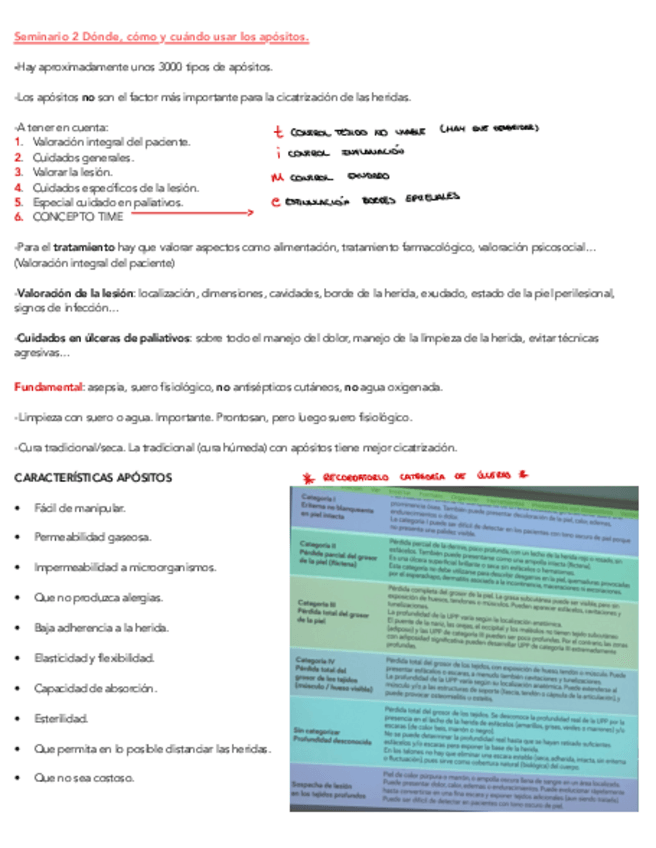 Miniatura del documento Seminario-2-geriatria.pdf