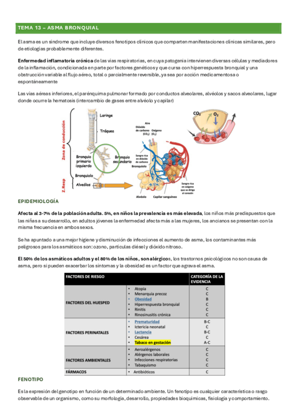 Miniatura del documento 13-ASMA.pdf
