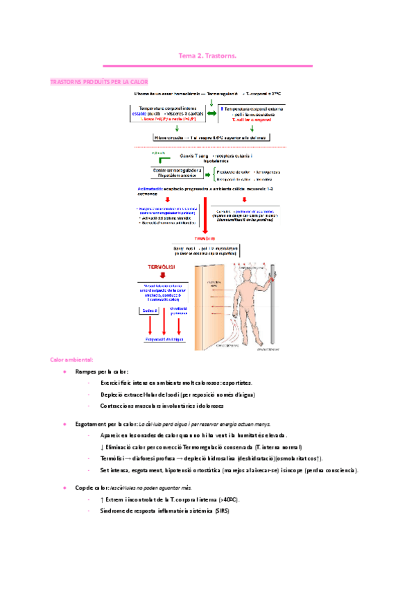 Miniatura del documento ENDOCRINOLOGIA Tema-2.-Trastorns.pdf