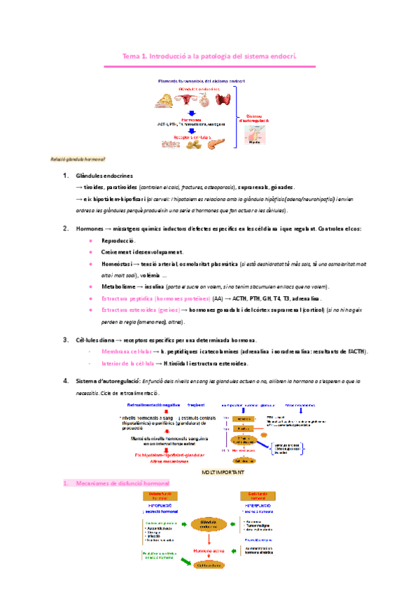 Miniatura del documento ENDOCRINOLOGIA Tema-1.-Introduccio-a-la-patologia-del-sistema-endocri.pdf