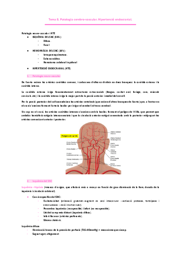 Miniatura del documento NEUROLGIA Tema-8.-Patologia-cerebro-vascular.-Hipertensio-endocranial..pdf