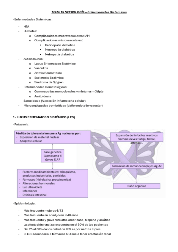 Miniatura del documento TEMA-15-NEFROLOGIA-enfermedades-sistemicas.pdf