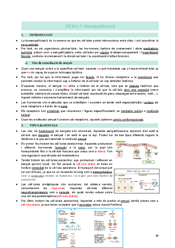 Miniatura del documento BIOSENYALITZACIÓ-tema-7-BIOQUIMICA.pdf