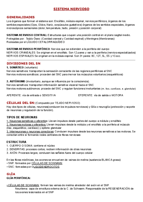 Miniatura del documento SISTEMA-NERVIOSO.pdf