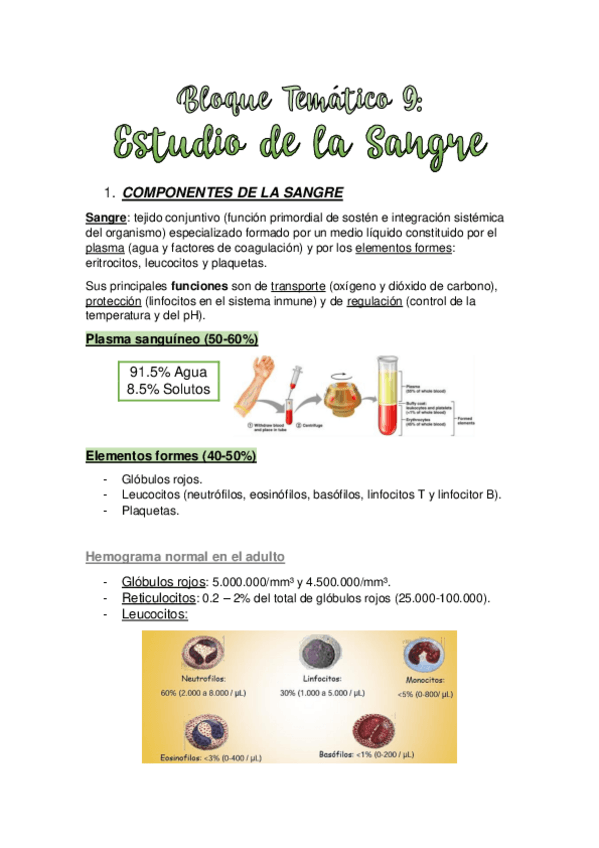 Miniatura del documento TEMA-9.-ESTUDIO-DE-LA-SANGRE.pdf