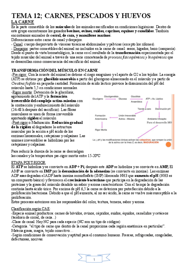 Miniatura del documento tema-12-carnes-pescados-y-huevo.pdf