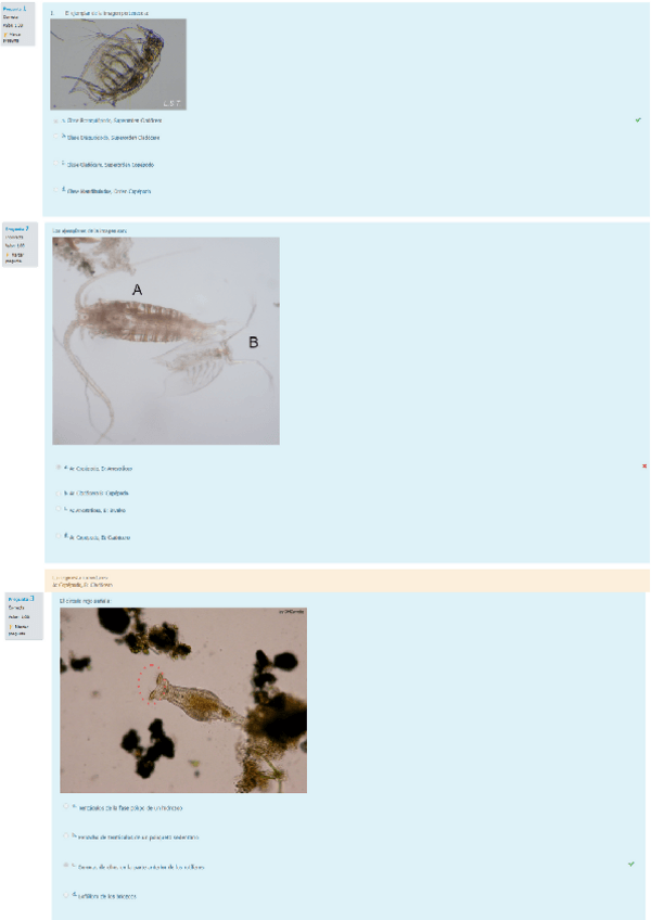 Miniatura del documento Cuestionario-comunidades-practicas.pdf