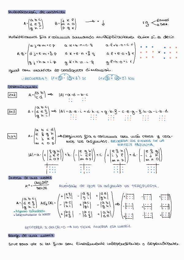 Miniatura del documento Matrices.pdf