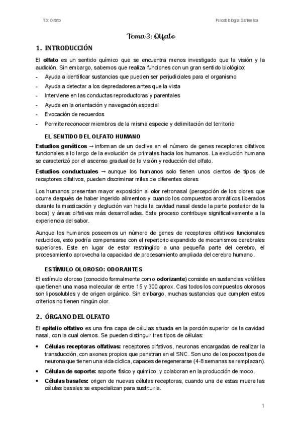 Miniatura del documento T3-Olfato.pdf