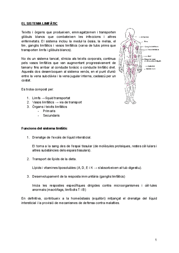 Miniatura del documento SISTEMA-LIMFATIC.pdf