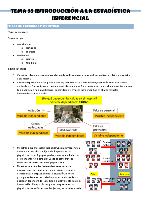 Miniatura del documento Introduccion-a-la-investigacion-T15.pdf