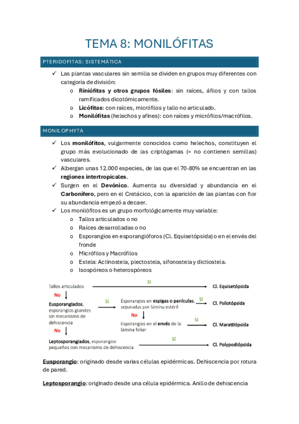 Miniatura del documento Tema-8-Botanica-II.pdf