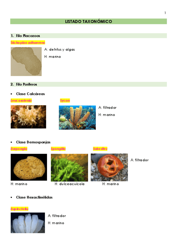 Miniatura del documento LISTADO-TAXONOMICO.-VISU.pdf