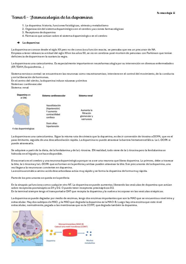 Miniatura del documento t6-farma-iii-carmen.pdf