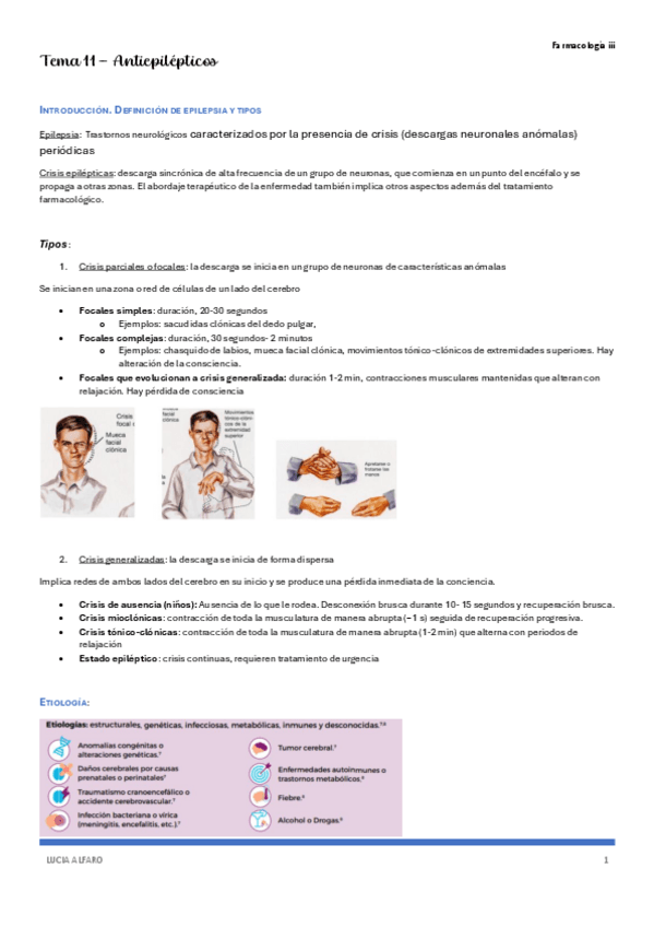 Miniatura del documento t11-farm-3.pdf