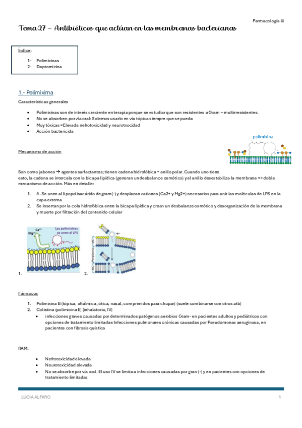 Miniatura del documento T27-farm-iii.pdf