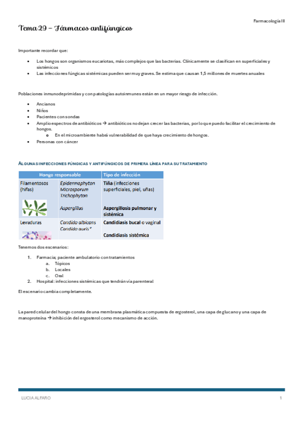 Miniatura del documento T29-farm-iii.pdf