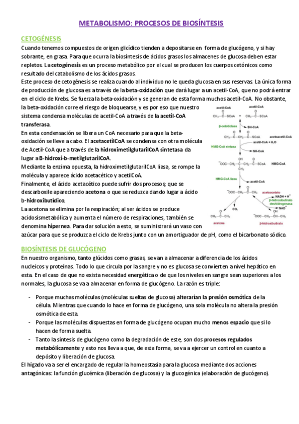 Miniatura del documento PROCESOS BIOSINTÉTICOS.pdf