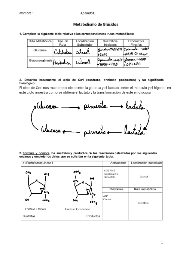Miniatura del documento Problemas-Metabolismo-de-Glucidos.pdf