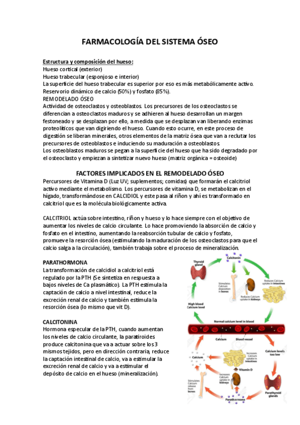Miniatura del documento FARMACOLOGIA-DEL-SISTEMA-OSEO.pdf