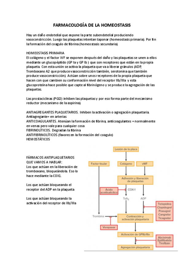 Miniatura del documento FARMACOS-DE-LA-HOMEOSTASIA.pdf
