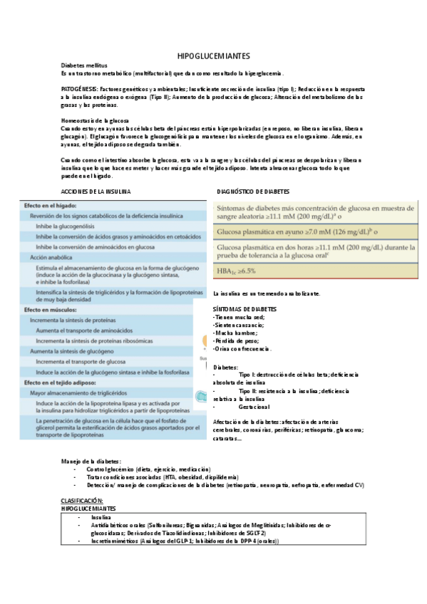 Miniatura del documento HIPOGLUCEMIANTES.pdf
