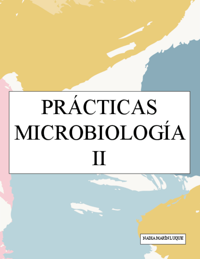 Miniatura del documento Practicas-de-Microbiologia-Medica-II..pdf