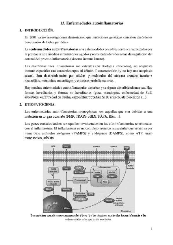 Miniatura del documento 13.-Enfermedades-autoinflamatorias.pdf