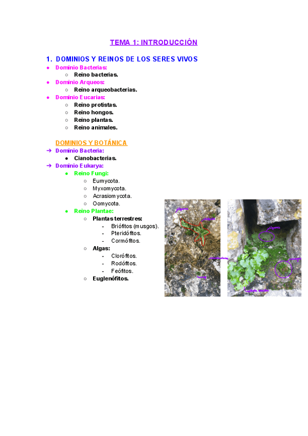 Miniatura del documento Tema-1-Botanica-Introduccion.pdf