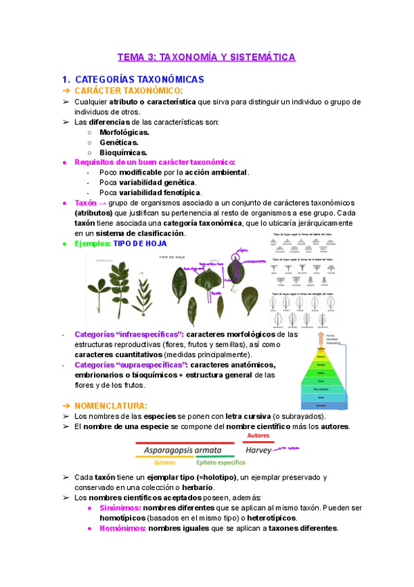 Miniatura del documento Tema-3-Botanica-Taxonomia-y-sistematica.pdf