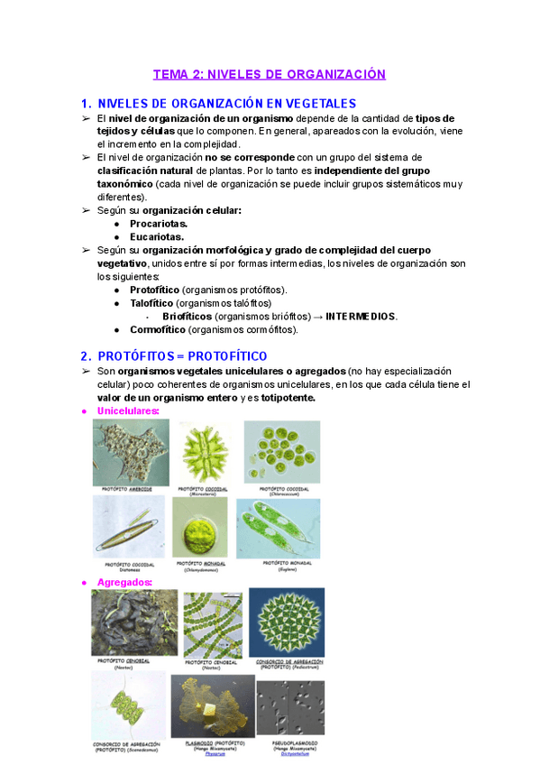 Miniatura del documento Tema-2-Botanica-Niveles-de-organizacion.pdf