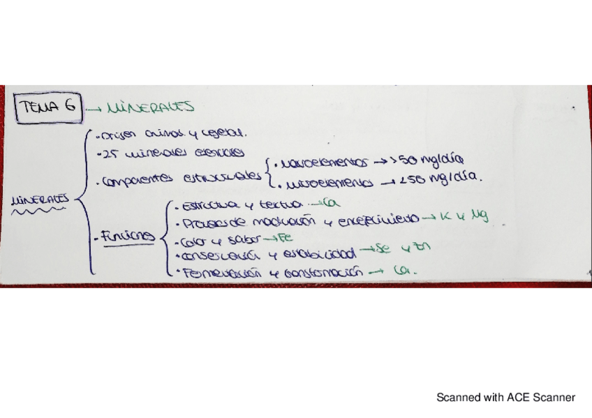 Miniatura del documento fbro-tema-6.pdf