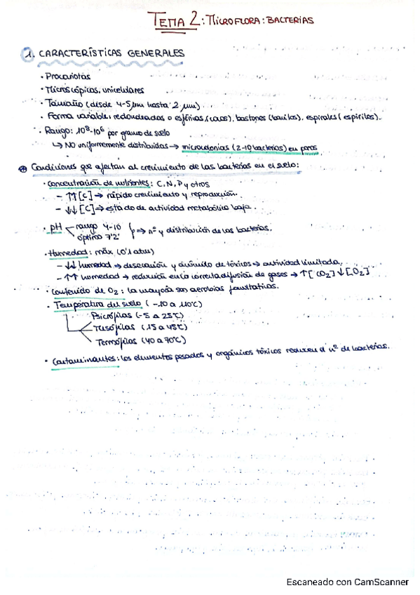 Miniatura del documento tema-2-microflora-bacterias.pdf