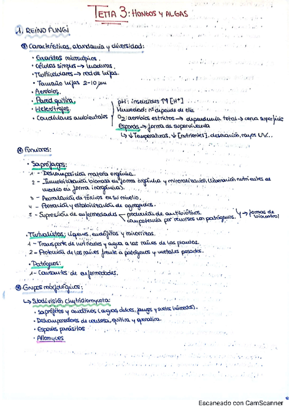 Miniatura del documento Tema-3-hongos-y-algas.pdf