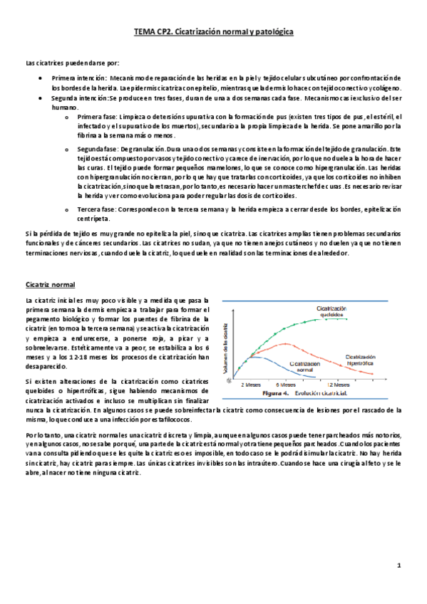 Miniatura del documento Tema CP2. Cirugía plástica. Cicatrización- cuero cabelludo y párpado.pdf