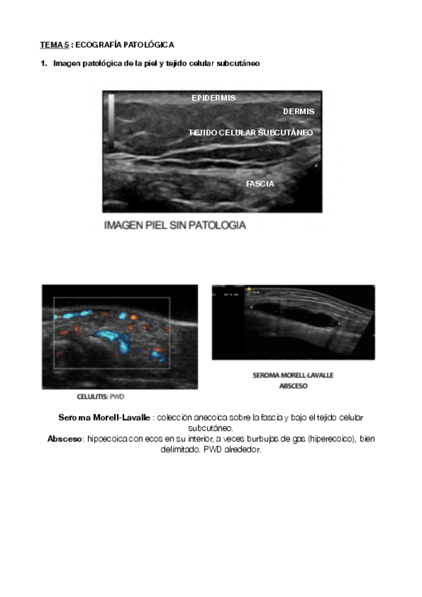 Miniatura del documento DIAGNOSTICO-TEMA-5.pdf