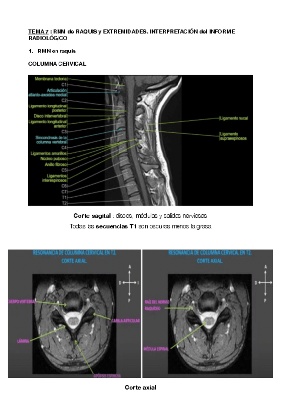 Miniatura del documento DIAGNOSTICO-TEMA-7.pdf