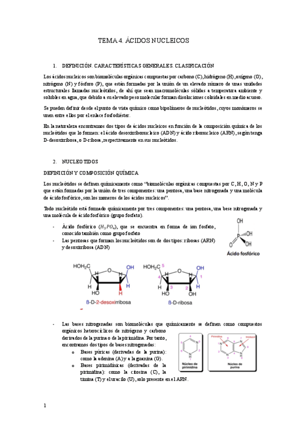Miniatura del documento Tema-4.-Acidos-nucleicos.pdf