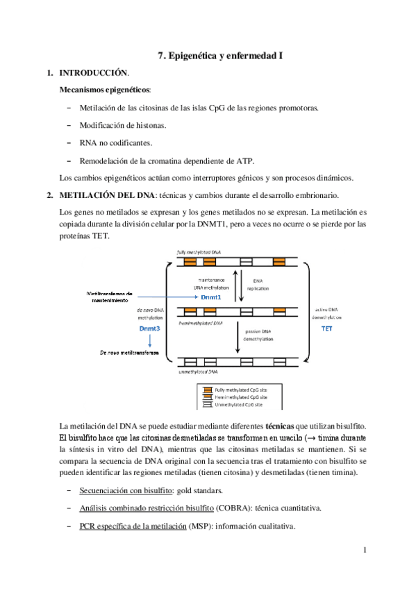 Miniatura del documento 7.-Epigenetica-y-enfermedad-I.pdf