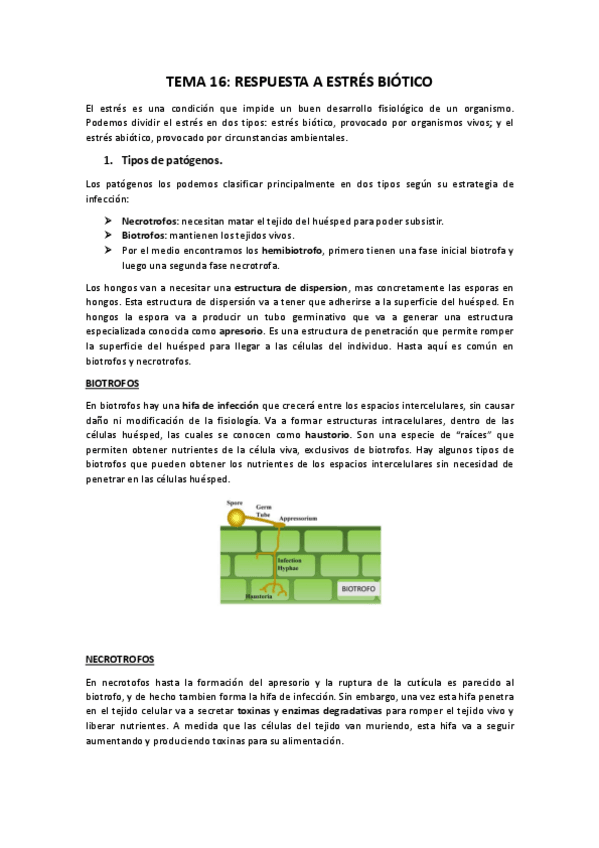 Miniatura del documento TEMA-16.pdf