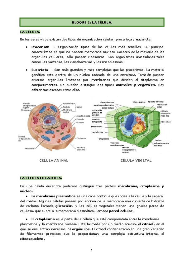 Miniatura del documento Bloque-2-T.-7-10.pdf