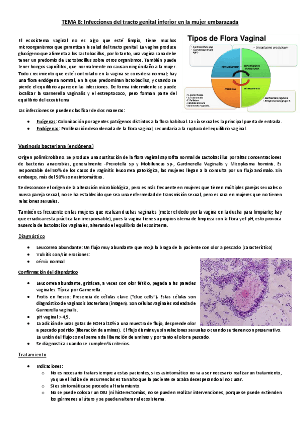 Miniatura del documento Tema 8. Infecciones del tracto genital inferior.pdf
