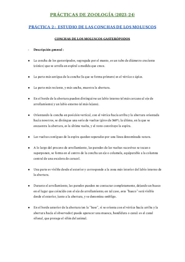 Miniatura del documento PRÁCTICA 2 - MOLUSCOS.pdf