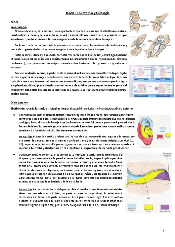 Miniatura del documento Tema 1. Anatomía y fisiología.pdf