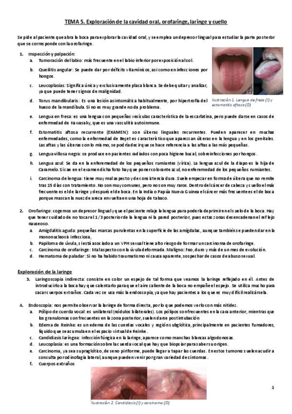 Miniatura del documento Tema 5. Exploración cavidad bucal- orofaringe, laringe y cuello.pdf