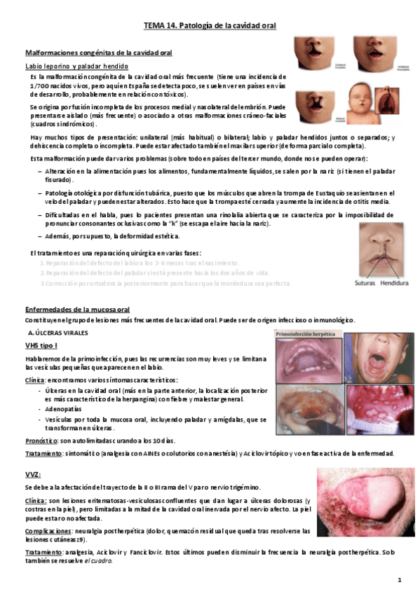 Miniatura del documento Tema 18. Patología de la cavidad oral copia.pdf