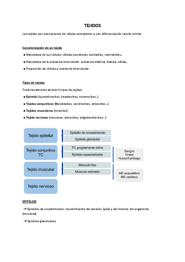 Miniatura del documento TEJIDOS.pdf